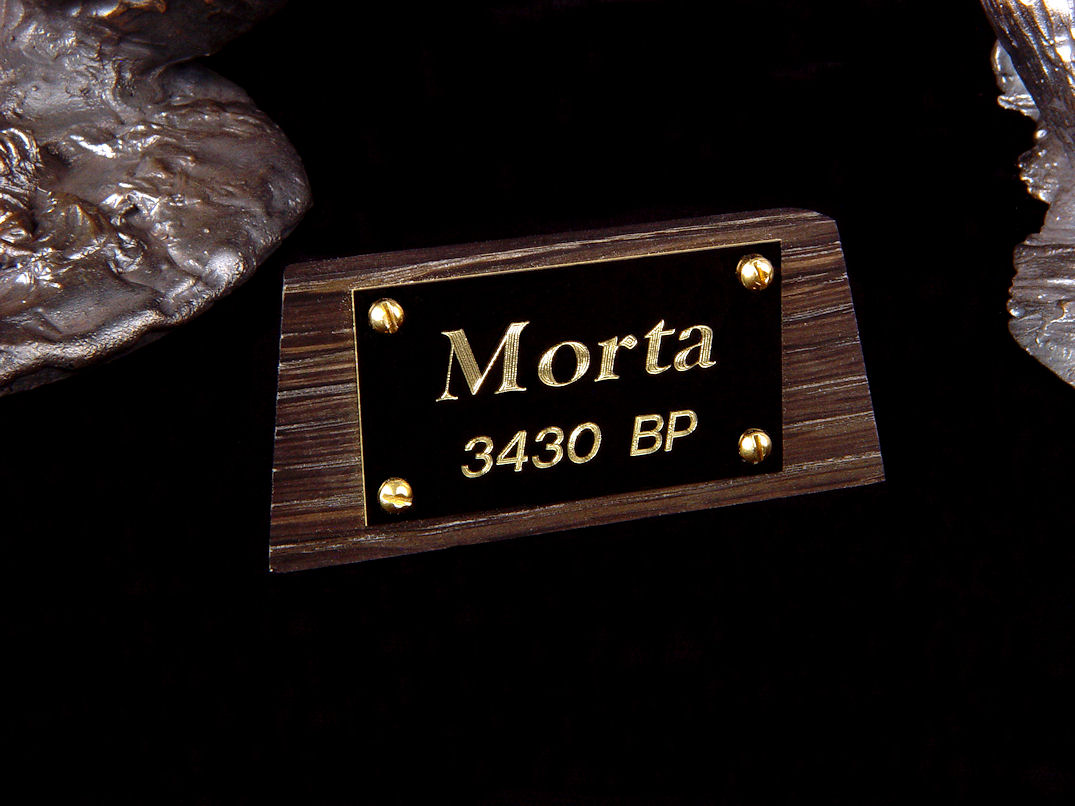 "Morta" nameplate in 3420 year old bog oak, engraved black lacquered brass, brass screws