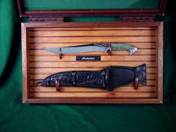 "Astarion" case open. Complimentary case adds much to the knife display