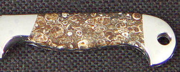 Turitella Agate is fossilized sea bed with shells in agate