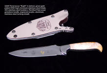 USAF Pararescue "Kight" in etched 440C high chromium stainless steel blade, 304 stainless steel bolsters, petrified palm wood gemstone handle, acrylic, aluminum, blued steel locking sheath
